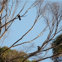 Unverified at suppressed - suppressed