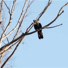 Unverified at suppressed - suppressed