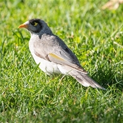 Unverified at suppressed - suppressed