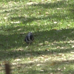 Unverified at suppressed - suppressed