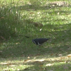 Unverified at suppressed - suppressed