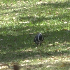 Unverified at suppressed - suppressed