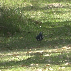 Unverified at suppressed - suppressed