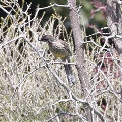 Unverified at suppressed - suppressed