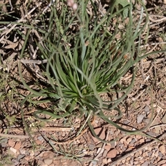 Unverified at suppressed - suppressed