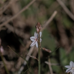 Unverified at suppressed - suppressed