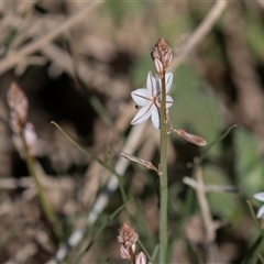 Unverified at suppressed - suppressed