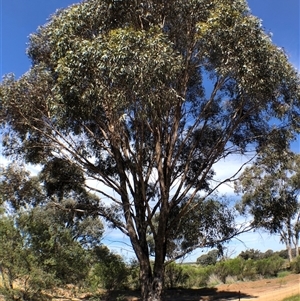 Unverified at suppressed - suppressed