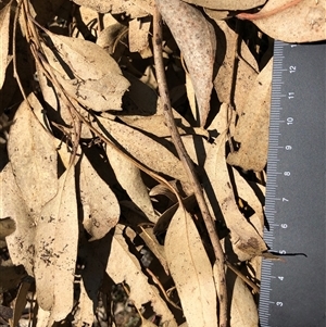 Unverified at suppressed - suppressed