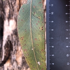 Unverified at suppressed - suppressed