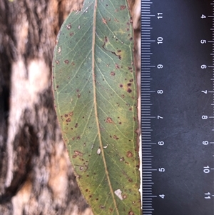 Unverified at suppressed - suppressed