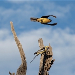 Unverified at suppressed - suppressed