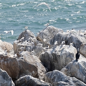 Unverified at suppressed - suppressed