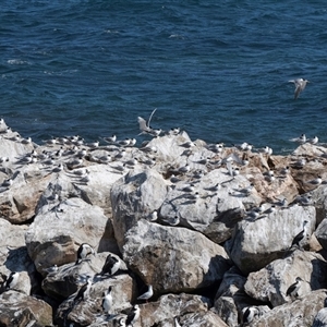 Unverified at suppressed - suppressed