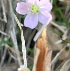 Unverified at suppressed - suppressed