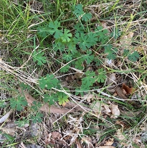 Unverified at suppressed - suppressed