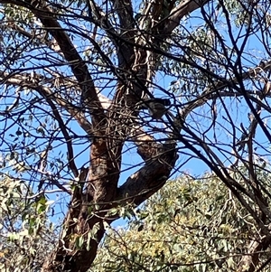 Unverified at suppressed - suppressed