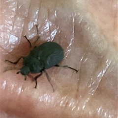 Unverified at suppressed - suppressed