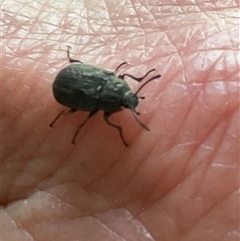 Unverified at suppressed - suppressed