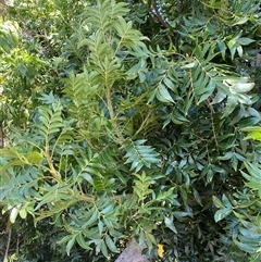 Unverified at suppressed - suppressed