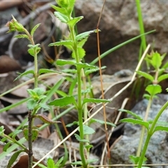 Unverified at suppressed - suppressed