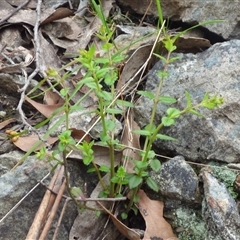 Unverified at suppressed - suppressed