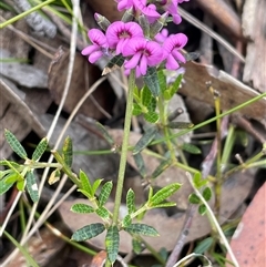 Unverified at suppressed - suppressed