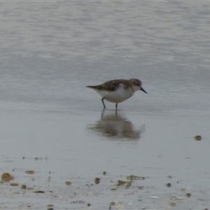 Unverified at suppressed - suppressed