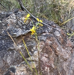 Unverified at suppressed - suppressed