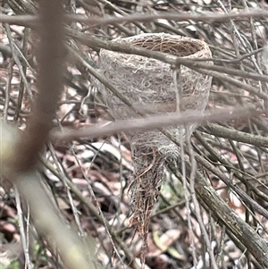 Unverified Bird by YellowButton