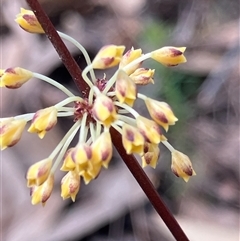 Unverified at suppressed - suppressed