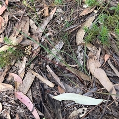 Unverified at suppressed - suppressed