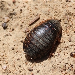 Unverified at suppressed - suppressed