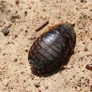 Unverified at suppressed - suppressed