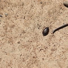 Unverified at suppressed - suppressed