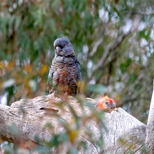 Unverified at suppressed - suppressed