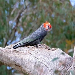 Unverified at suppressed - suppressed