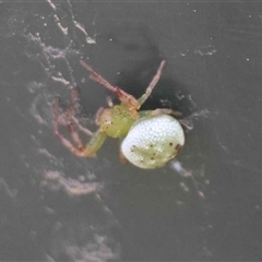 Unverified at suppressed - suppressed