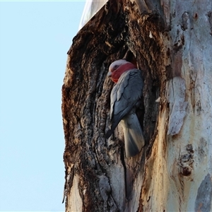 Unverified at suppressed - suppressed