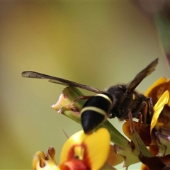 Unverified at suppressed - suppressed