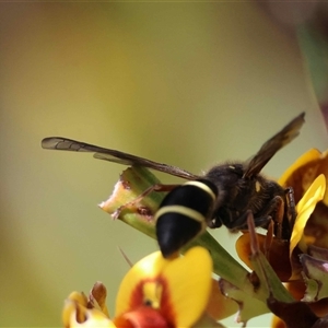 Unverified at suppressed - suppressed