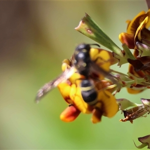 Unverified at suppressed - suppressed