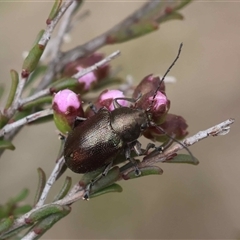 Unverified at suppressed - suppressed