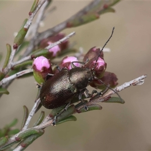 Unverified at suppressed - suppressed