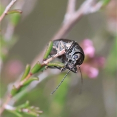 Unverified at suppressed - suppressed