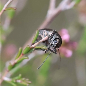 Unverified at suppressed - suppressed