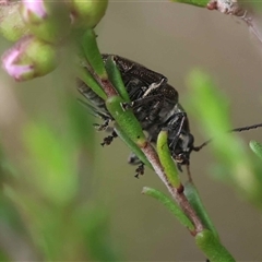 Unverified at suppressed - suppressed