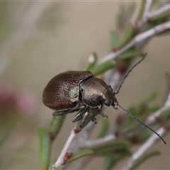 Unverified at suppressed - suppressed