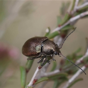 Unverified at suppressed - suppressed