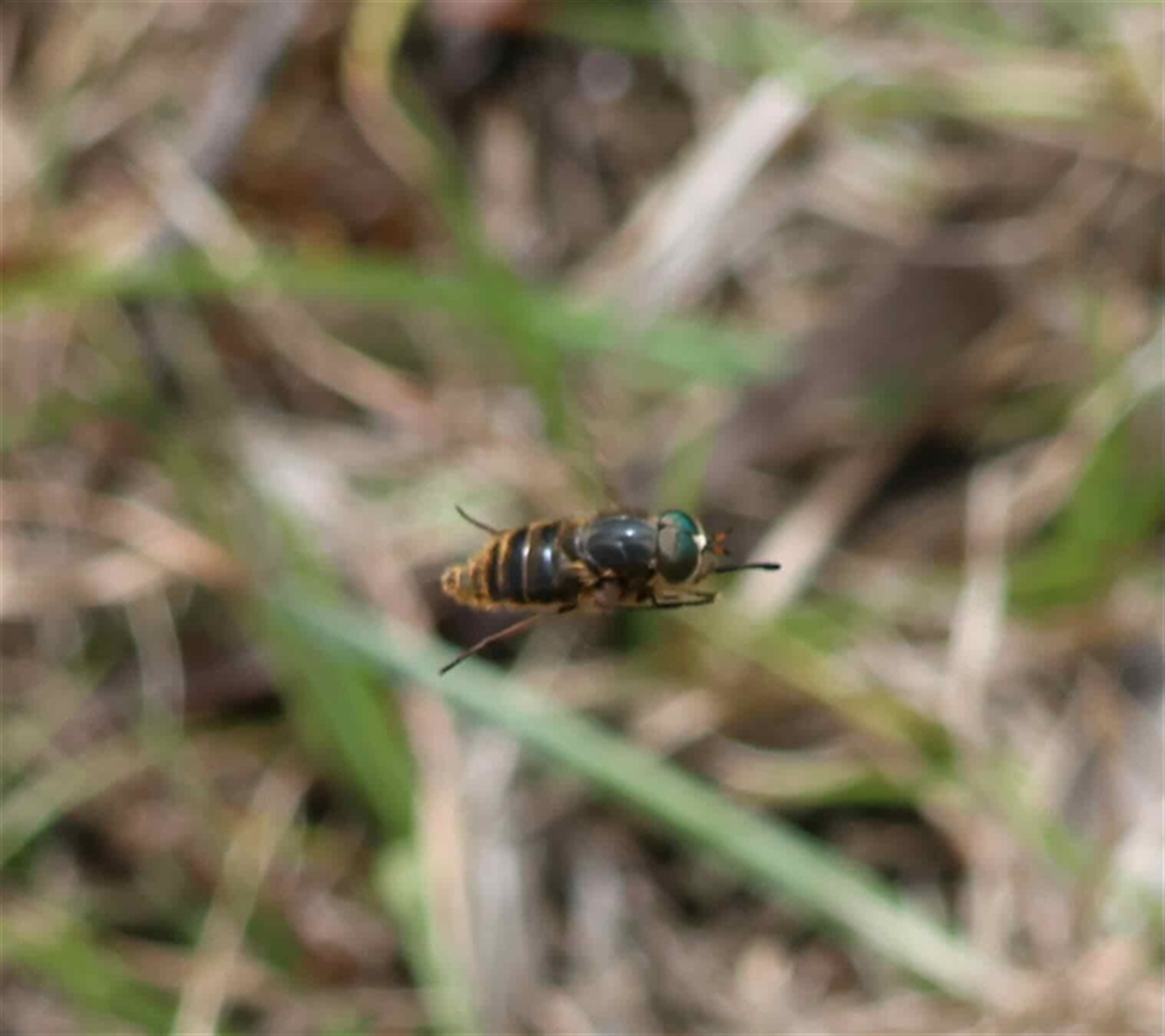 Unverified at suppressed - suppressed